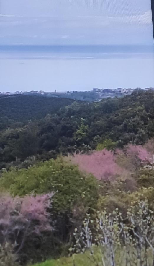 Aigani Πανοραμαヴィラ エクステリア 写真